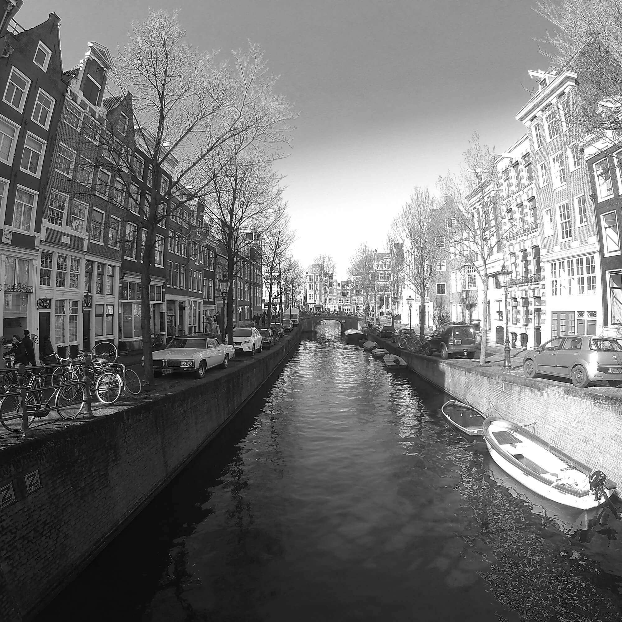 plenery Amsterdam 2016
